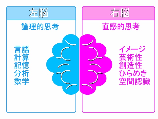 右脳派と左脳派の特徴や違い 診断表あり 右脳を鍛えるそろばん そろばんスクールまとめ